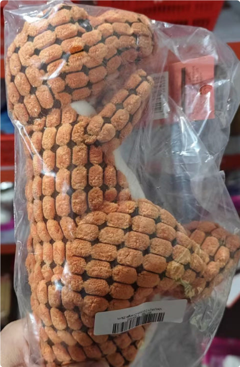 צעצוע דינוזאור לכלב עם צפצפה