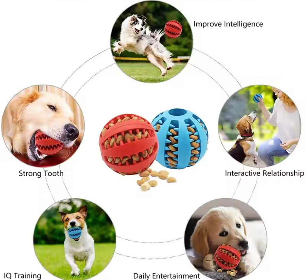 כדור חטיפים לכלבים